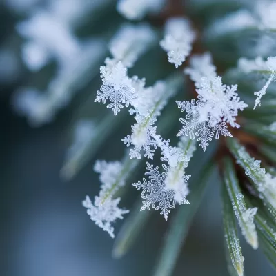 Imagen PNG para descargar